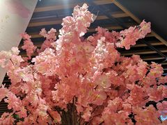 -九木杂物社(恒隆广场店)
