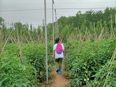 -意大利农场度假村
