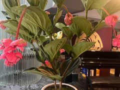 -茅庐·川粤精品私房菜(金沙遗址店)