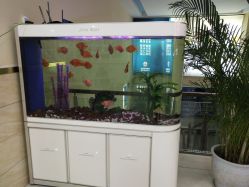 -成都军建医院·疤痕诊疗中心