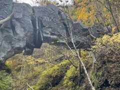 -凤凰山国家森林公园