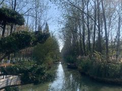 -合肥滨湖国家森林公园