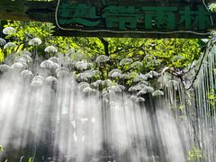 -青青世界