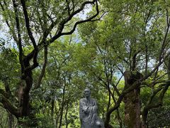 -八大山人梅湖景区