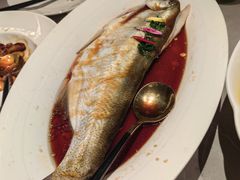 -醉庐·新上海菜(南京西路店)