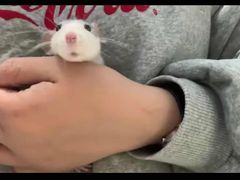 -雨林宠物医院 非犬猫异宠专科
