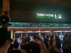 -夜间野生动物园