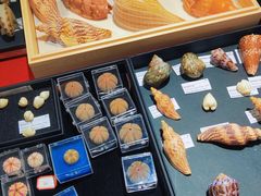 -摩登百货(岗顶店)