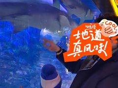 -烟台海昌鲸鲨海洋公园