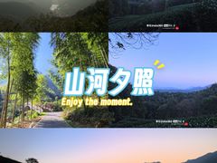 -午潮山国家森林公园