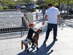 -永定河休闲森林公园