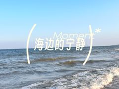 -日照海滨国家森林公园