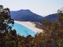 -广东惠东海龟国家级自然保护区