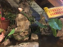-多哥水·西双版纳传统傣味·昆明土著私藏云南菜(司马巷店)