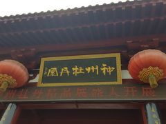 -神州牡丹园