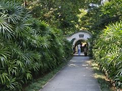 -广州兰圃