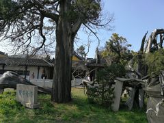 -司徒庙