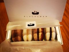 -BLACKSWAN黑天鹅(环球店)