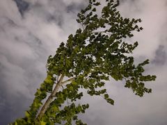 -湖南省立第一师范学校旧址