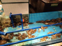 水产区-星伦多自助料理(花山金鹰店)