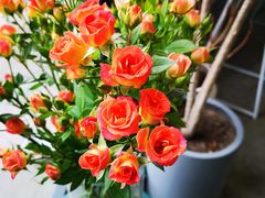 -隹木咖啡馆(宝龙广场店)