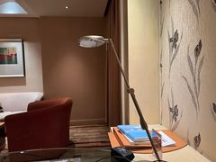 -电谷雅阁国际大酒店
