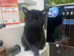 -中农大我爱我爱动物医院·核磁CT·猫病·24小时夜诊中心(石佛营店)