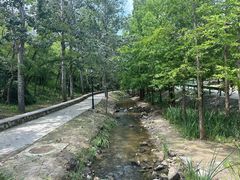 -白水寺森林公园
