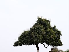 -红花山公园