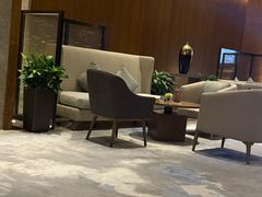 -苏州希尔顿酒店·园大堂吧