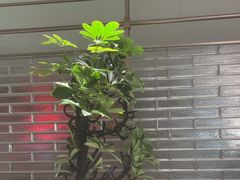 -海底捞火锅(高科广场店)
