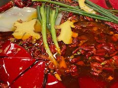 -黄潇洒老火锅(九眼桥宏济巷店)