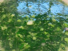 -茅溪菜·家宴(上品拾陆店)