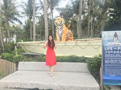 -白沙湾海滩