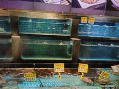 -梦都海鲜酒家(万达广场江桥店)