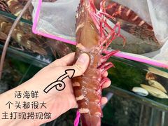 -双天海鲜楼 · 43年老字号