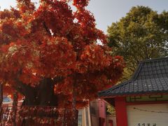 -芜湖方特东方神画