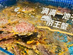 -东海怡品海鲜豆捞(舟宿夜江店)