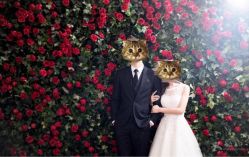 点击看大图 -韩国艺匠ARTIZ STUDIO(博览中心店)