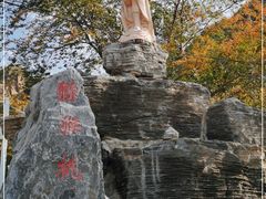 -大岭沟猕猴桃谷风景区