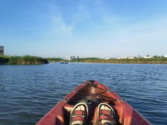 -春花秋色城市公园