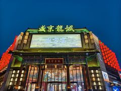 -中街·盛京龙城