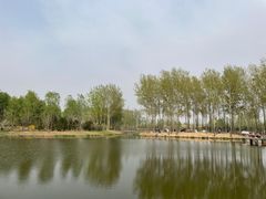 -东郊湿地公园