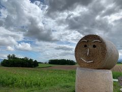 -富田农场