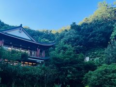 -十八棵（老龙井）御茶园(老龙井店)