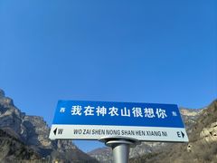 -神农山景区