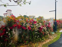 -赤坎·广东华侨国际旅游度假区