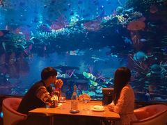 -迪拜帆船酒店海底餐厅