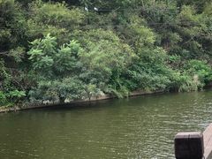 -前关湿地公园