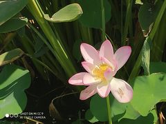 -祝甸砖窑文化馆